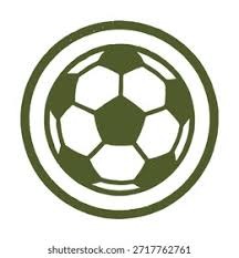 记者：上海申花引进盖伊的总转会费最高可达180万英镑