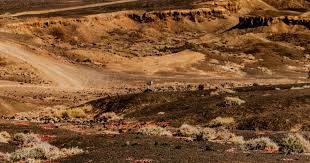 天空：卡里克早上7：51抵达卡灵顿，卡塞米罗和马奎尔最早到